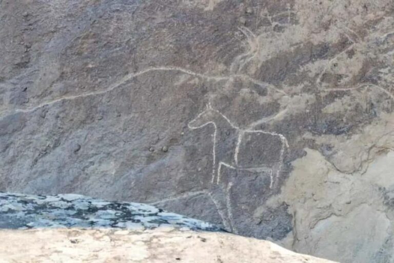 Private Qobustan, Mud Vulcano, Ateshgah, and Yanardag tour - What Makes This Tour Special?