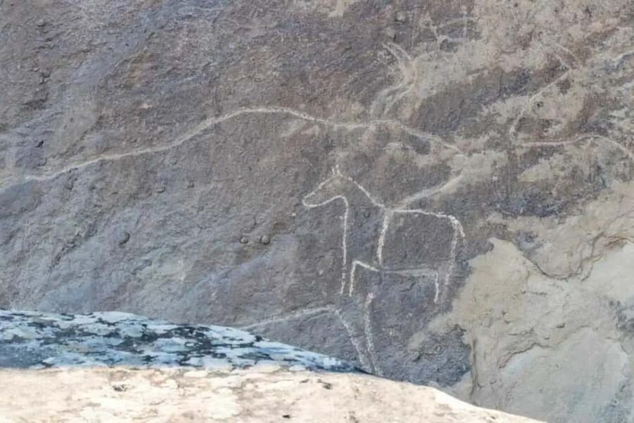 Private Qobustan, Mud Vulcano, Ateshgah, and Yanardag tour - What Makes This Tour Special?