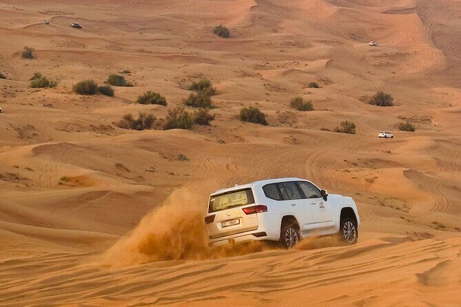 Private RedDune Safari with camel Riding,BBQ dinner &Live Shows - The Sum Up