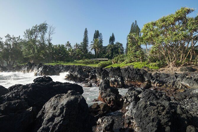 Private Road to Hana Rainforest & Waterfall Experience from Maui - Transportation and Comfort