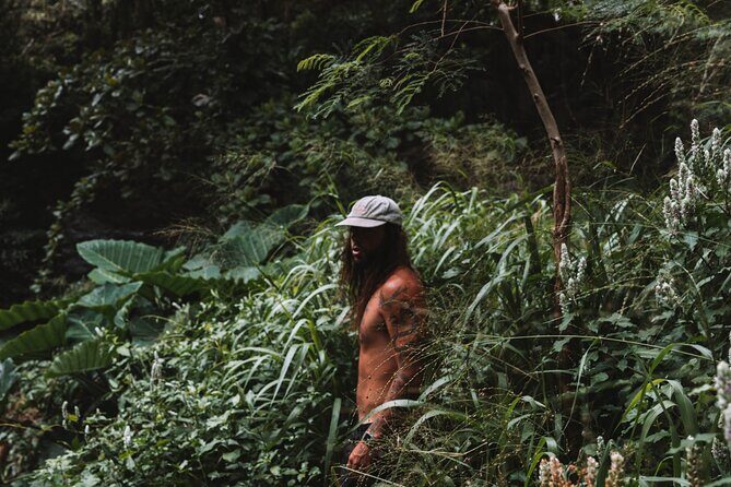 Private Road To Hana Tour with Professional Photographer - The Itinerary in Detail