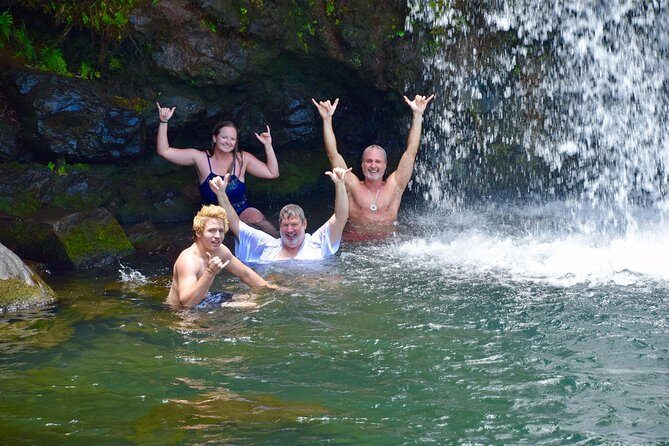 Private Road to Hana Tour - Who This Tour Is Perfect For