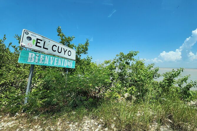 Private Roundtrip Transfer to "El Cuyo Yucatan" - Real Traveler Insights and Considerations