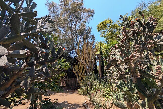 Private Scavenger Hunt in San Juan Capistrano Tour - Authentic Experiences and Authenticity