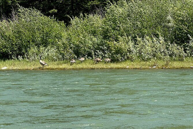 Private Scenic Snake River Float - Grand Teton Nat'l Park - Authentic Perspectives from Visitors