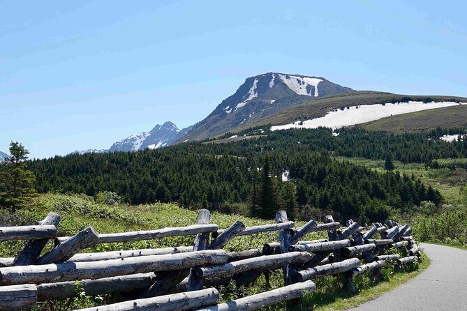 Private Scenic Turnagain Arm Glacier Tour from Anchorage - Travel Logistics & Practical Tips