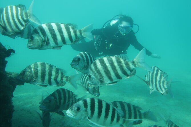 Private Scuba Diving Expert-Led Excursion Training with Tour - What Travelers Are Saying