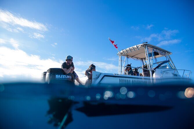 Private Shark Dive, Oahu, Hawaii (6 Guest) - The Value of the Experience