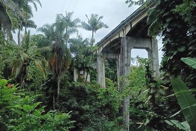 Private Shore Excursion Hilo Land of Frozen Fire up to 14 - Who is This Tour Best For?