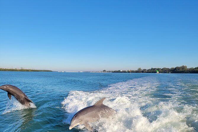Private Siesta Funship Adventure/Dolphin Cruise Sandbar Stops - Pricing and Value Analysis