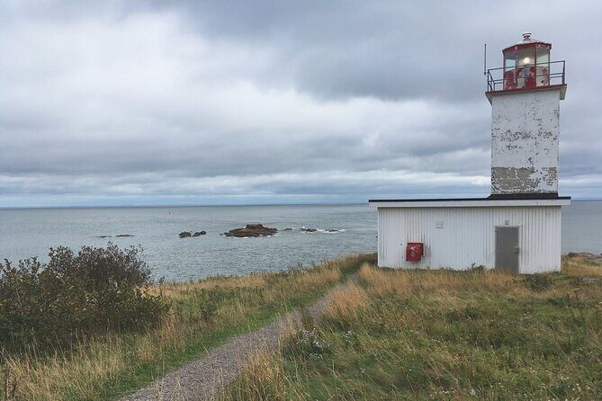 Private Sightseeing Tour In Saint John - Transportation and Group Size