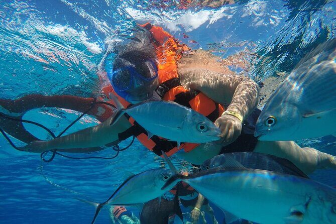 Private Sky Snorkeling Tour - Food, Drinks, and Hospitality