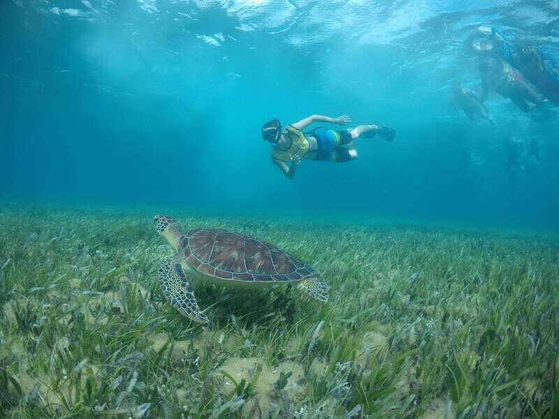 Private SNORKEL AND ISLA MUJERES Tour for GROUPS & FAMILIES - A Real-World Perspective from Reviewers