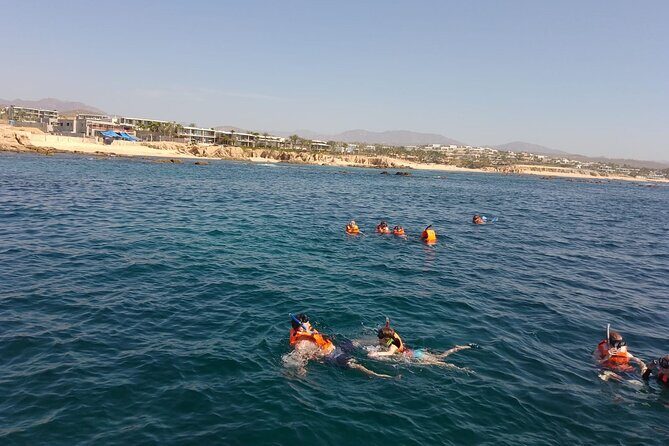 Private Snorkel Santa Maria and Chileno Bay Adventure Los Cabos - The Itinerary in Detail