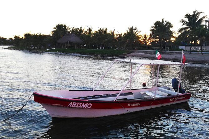 Private Snorkel Tour On The Reef Lagoon - The Value of this Tour
