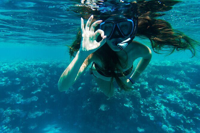 Private Snorkeling Activity in Key Largo - The Practical Side: What to Expect During the Day