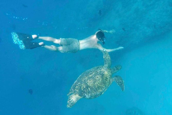 Private Snorkeling and Wildlife on The Adventure Boat - Who Will Love This Tour?