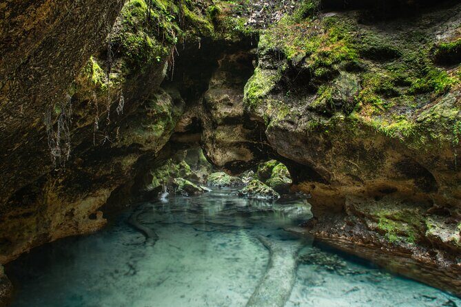 Private Snorkeling Expedition in the Florida Springs
