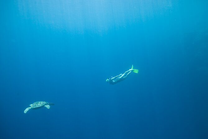 Private Snorkeling Experience in Aqaba Red Sea - Who Would Love This Experience?