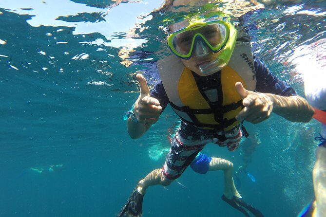 Private Snorkeling Tour in Cabo San Lucas - Who Will Love This Experience?