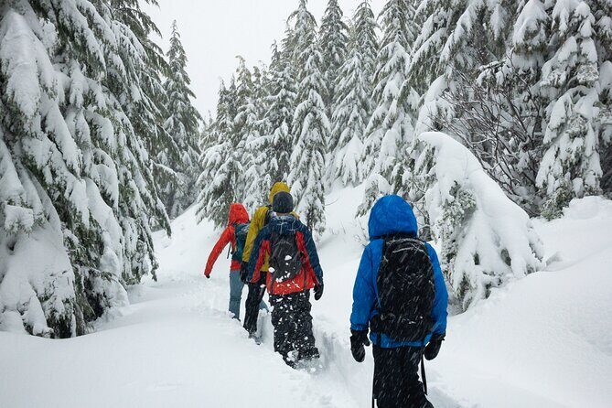 Private Snowshoeing Adventure from Badger Pass to Dewey Point - Authentic Yosemite Views and Expert Guidance