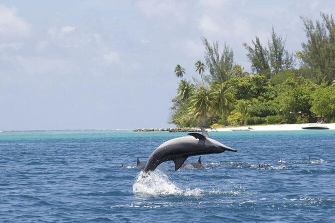 Private Speed Boat Charter with Experienced Captain - Final Thoughts