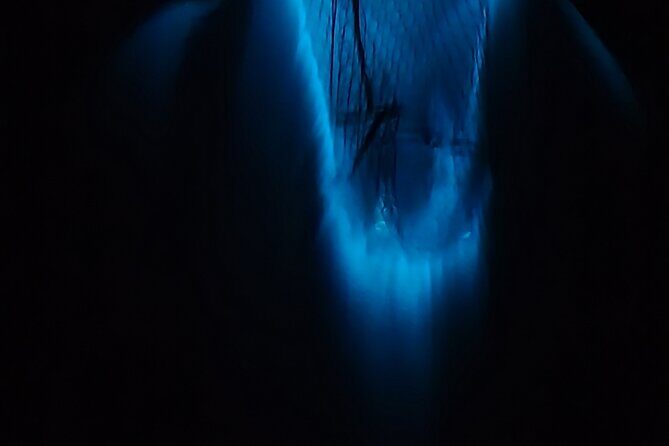 Private Sunset and Bioluminescence Tours in Cocoa Beach - Why This Tour Offers Real Value