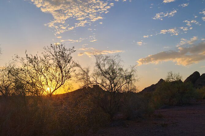 Private Sunset Walking Tour -Sonoran Desert Botanical Gardens 2h - Practical Details