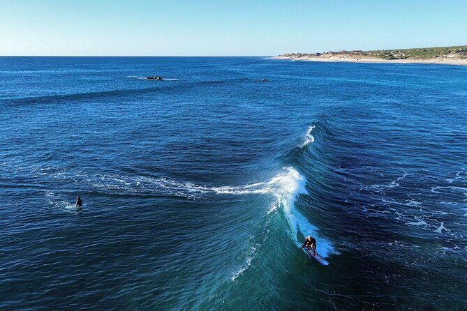 Private Surf Lesson in Baja, East Cape - Who Should Consider This Tour?
