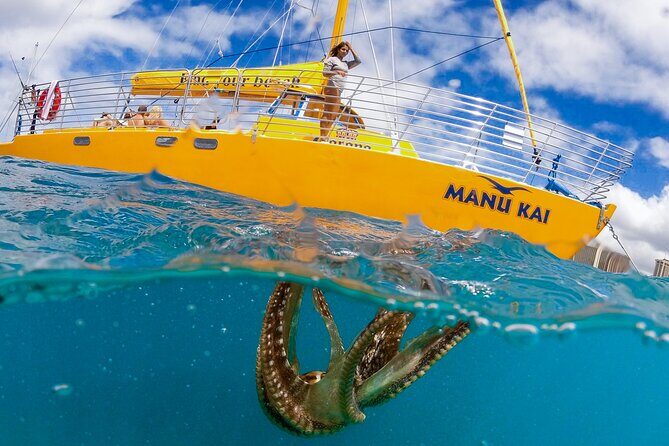 Private Swim and Sail Charter (Kewalo Harbor) - What to Expect on this Scenic Sail and Swim