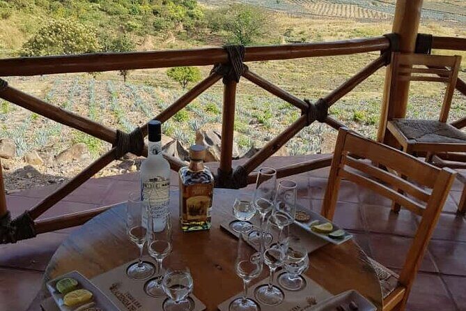 Private Tasting Tour Hacienda de Oro, Amatitan Jalisco - Final Thoughts: Who Should Consider This Tour?