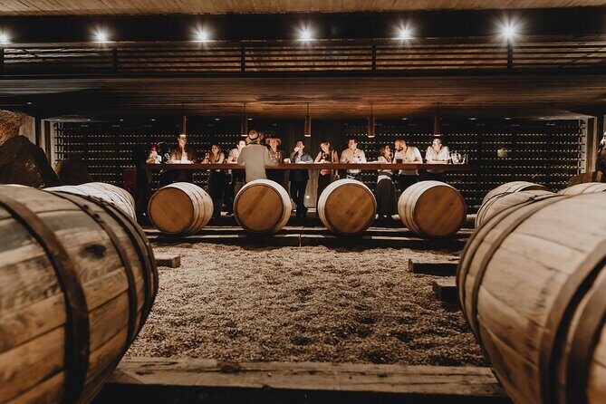 Private Tasting with Pairing in a Cava in Aguascalientes - Final Thoughts on Value and Experience