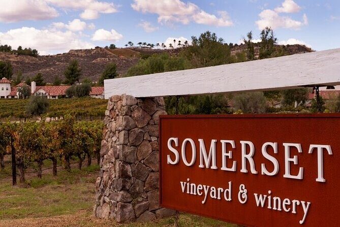 Private Temecula Wine Tour from Dana Point - Who Will Love This Tour?