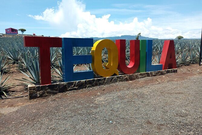 Private Tequila Tour in Guadalajara - What We Loved About the Tour
