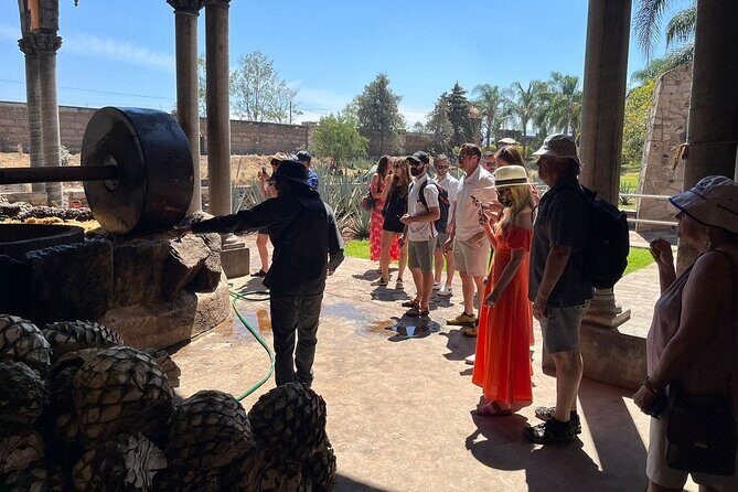 Private Tequila Tour with Local Expert - The Practical Side: What You Need to Know