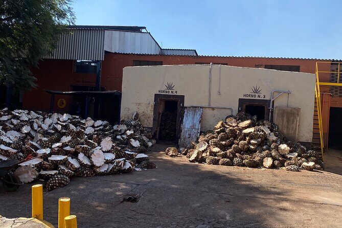 Private Tequila Tour - What’s the Experience Like?