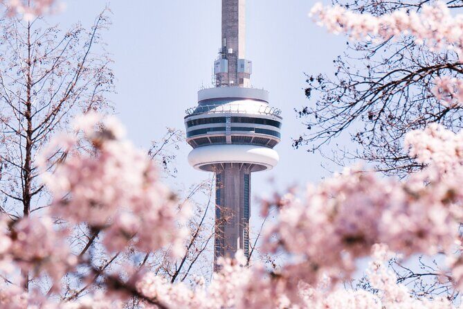 Private Toronto City Tour with Boat and CN Tower - Transportation and Overall Value