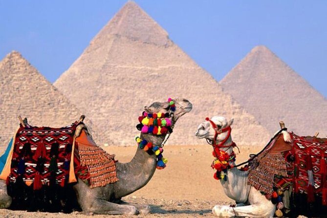 Private Tour: 8 Days 7 Nights Great Pyramids & Nile Cruise by Train from Cairo - Final Words
