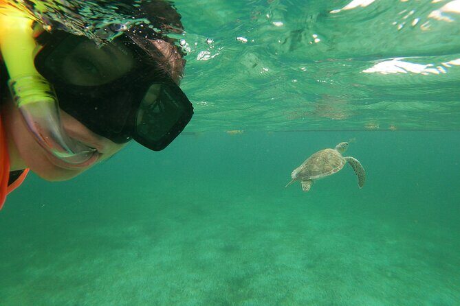 Private Tour: Akumal Marine Turtle Snorkeling and Cenote Adventure - Authentic Encounters and What Travelers Say