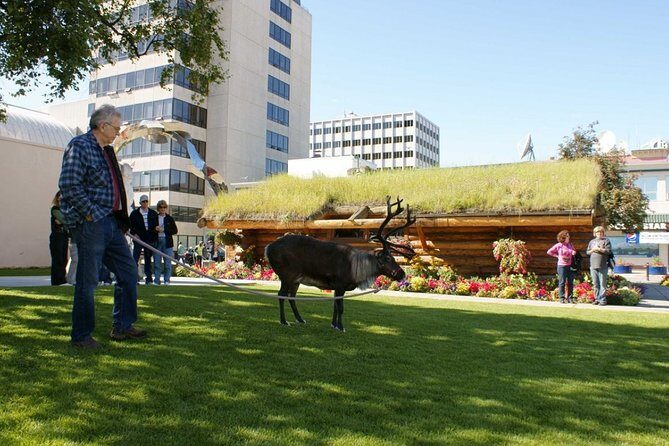 Private Tour: Anchorage 3-Hour Tour - Final Thoughts: Is This Tour Right for You?