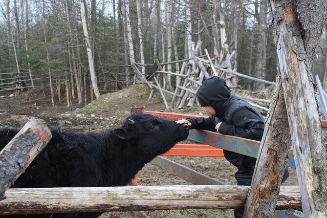 Private Tour at Historic Alaska Dairy Farm - What to Expect on the Farm