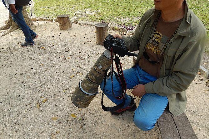 Private Tour: Birdwatching from Cancun - FAQ