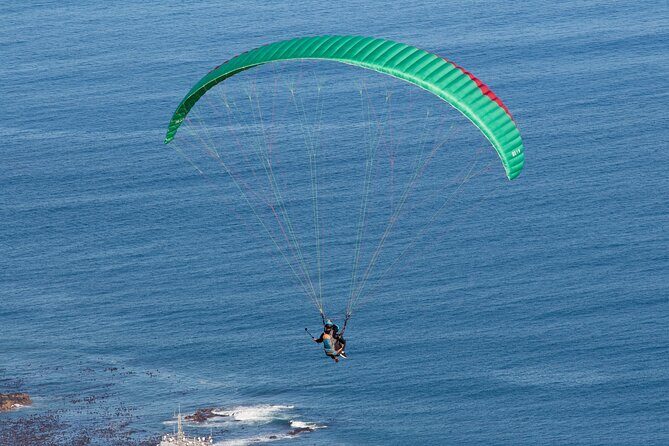 Private Tour: Cape of Good Hope and Boulders Beach Penguin Tour - Who Will Love This Tour?