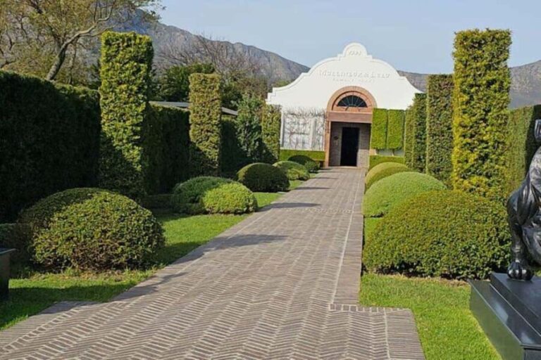 Private Tour: Cape Winelands to Stellenbosch & Franschhoek - Who Should Consider This Tour?