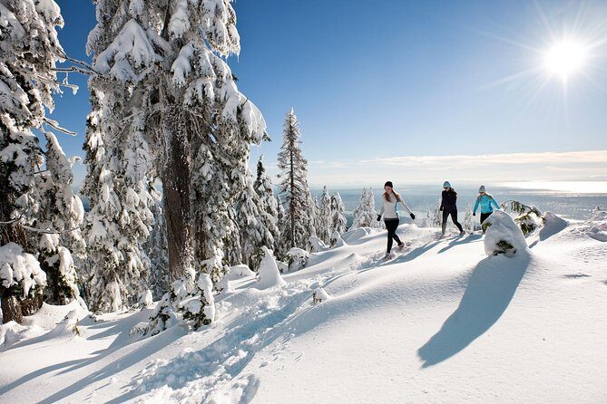 Private Tour: Capilano Suspension Bridge and Grouse Mountain - Practical Aspects and Considerations