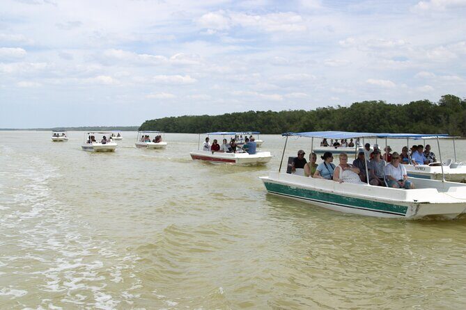 Private Tour: Celestun Biosphere Reserve by Yucatan Concierge - Exploring the Celestun Biosphere Reserve: An In-Depth Look