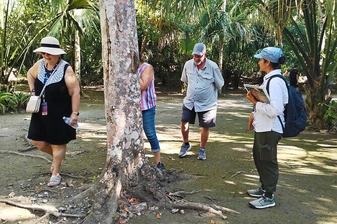 PRIVATE TOUR Chacchoben Mayan Ruins from Costa Maya - Who Should Consider This Tour?