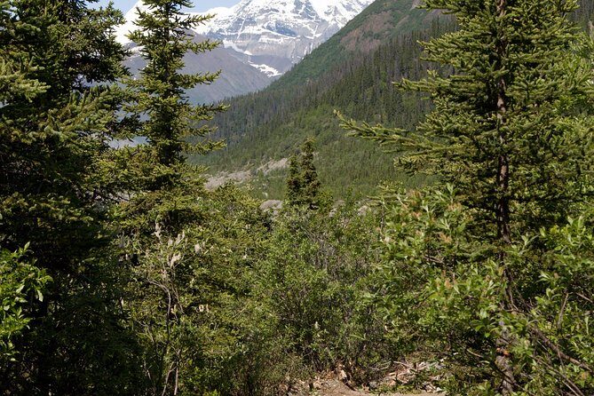 Private Tour: Chugach State Park Hiking Tour from Anchorage - Practical Details and Tips