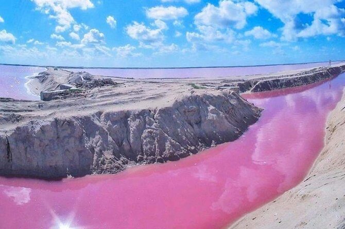 Private Tour: Ek Balam, Pink Flamingos Sanctuary and Tequila Tasting Factory - Who Is This Tour Best For?