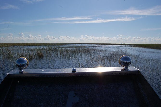 Private Tour: Florida Everglades Airboat Ride and Wildlife Adventure - What to Expect: Day in the Everglades